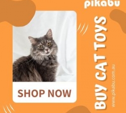 Buy Cat Toys | Pikabu