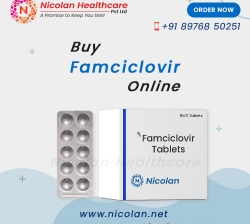 Order Famciclovir Online From Our Generic Website