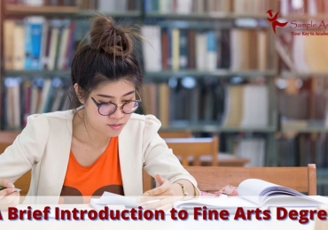 A Quick Introduction of Fine Arts Degrees | Sample Assignment