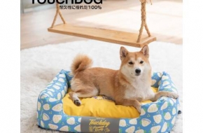 Finest Quality of Beds for Your Pet | Cat Beds and Mats