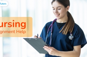 Nursing Assignment Service with Nursing Assignment Expert