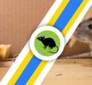 Looking for Best Rodent Control Service in Hobart?